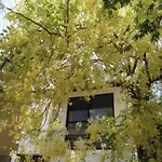 Jam Tree